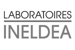 logo ineldea