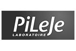 logo pileje